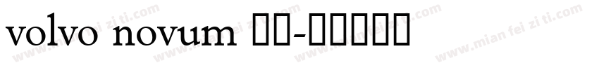 volvo novum 常规字体转换